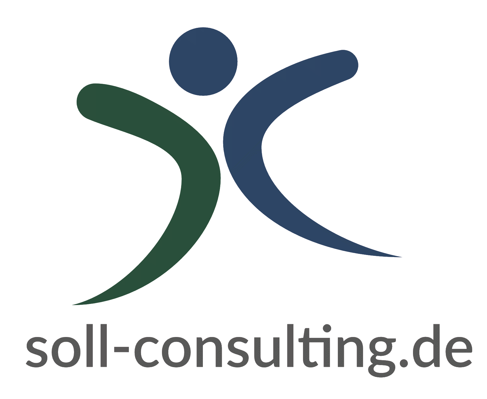 Das Logo unseres Partners Soll-Consulting.de